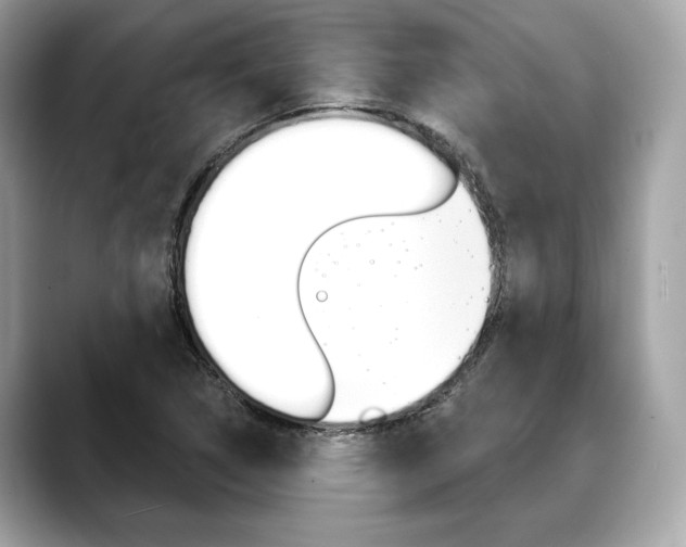 X0000088691314200705310951