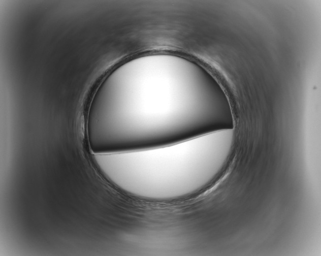 X0000088691317200705310951