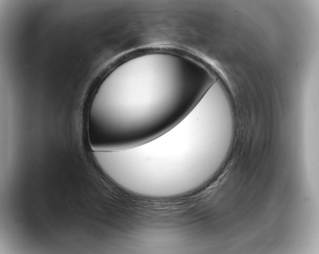 X0000088691319200705310951
