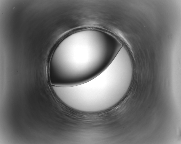 X0000088691320200705310951