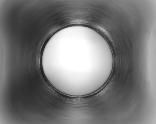 X0000088691322200705310951