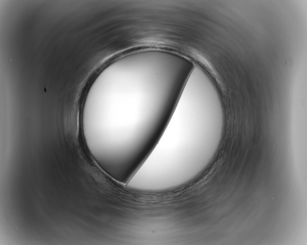X0000088691323200705310951