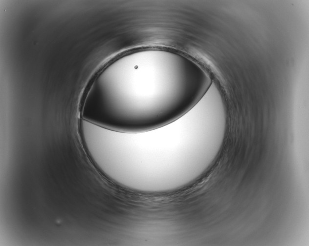 X0000088691324200705310951