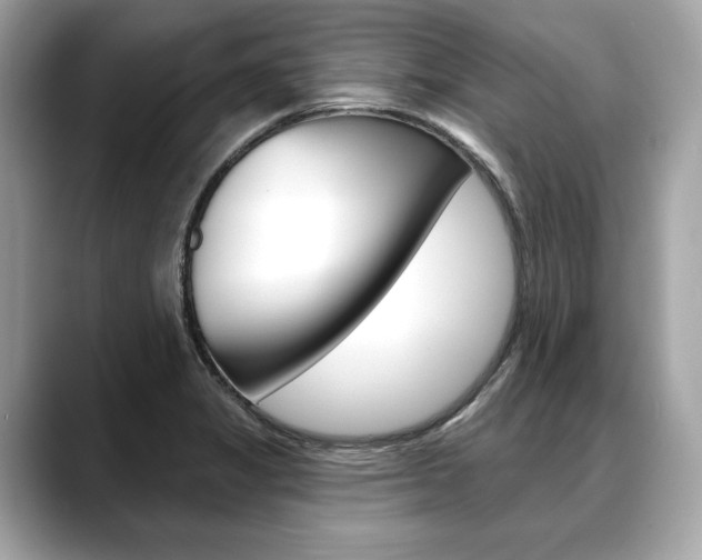 X0000088691325200705310951