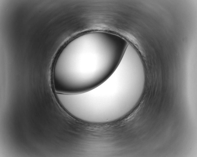 X0000088691326200705310951