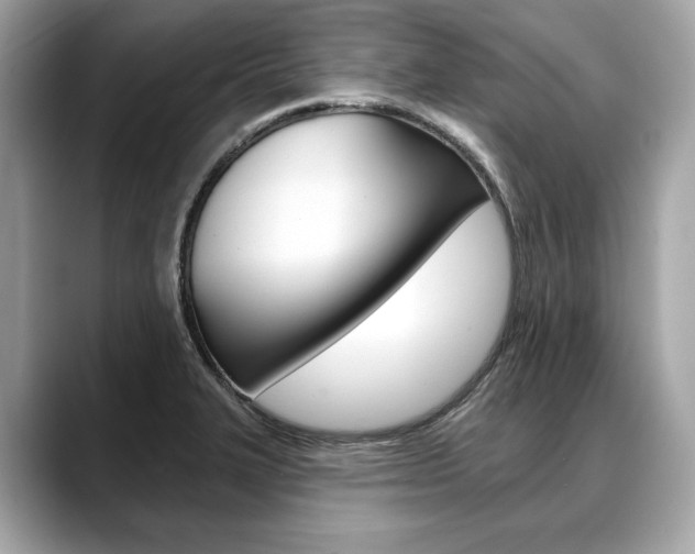 X0000088691327200705310951