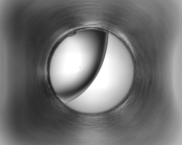X0000088691328200705310951