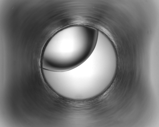 X0000088691330200705310951
