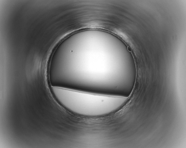 X0000088691331200705310951