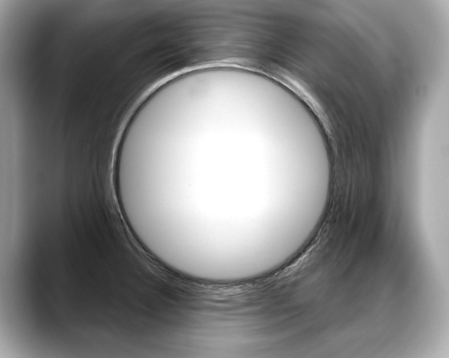 X0000088691332200705310951