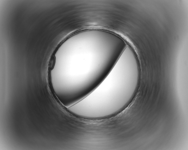 X0000088691333200705310951