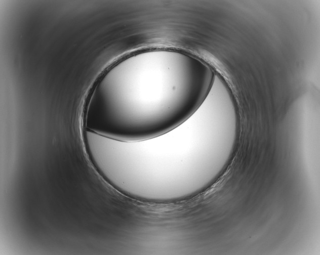X0000088691334200705310951