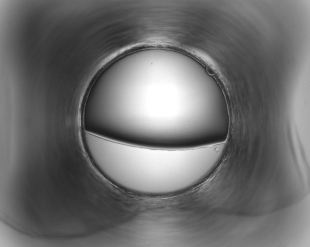 X0000088691335200705310951