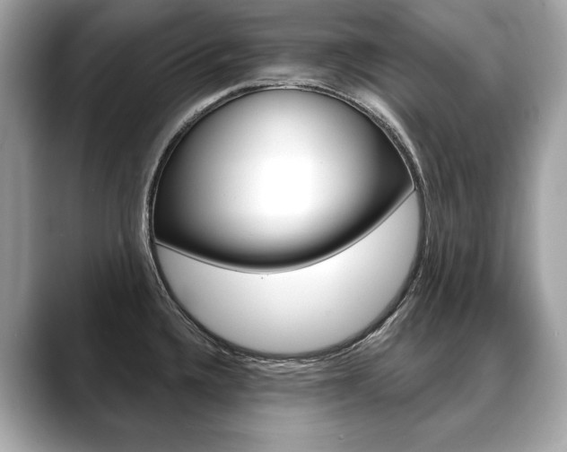 X0000088691336200705310951