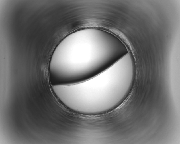 X0000088691337200705310951