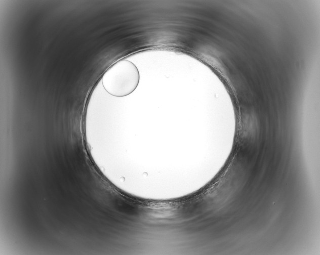 X0000088691338200705310951