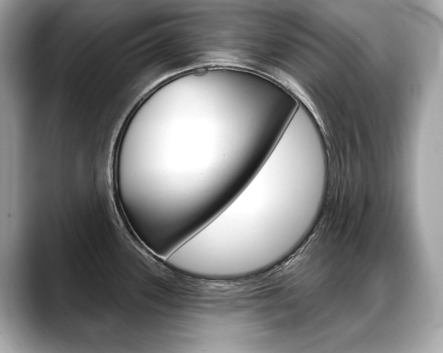 X0000088691339200705310951