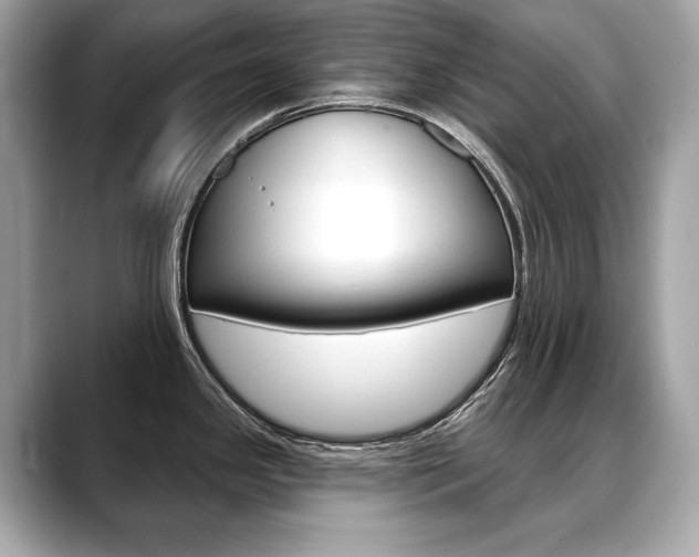 X0000088691341200705310951