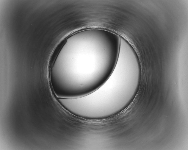 X0000088691342200705310951