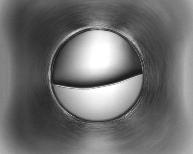 X0000088691343200705310951