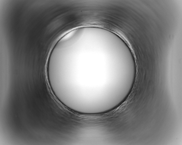 X0000088691344200705310951