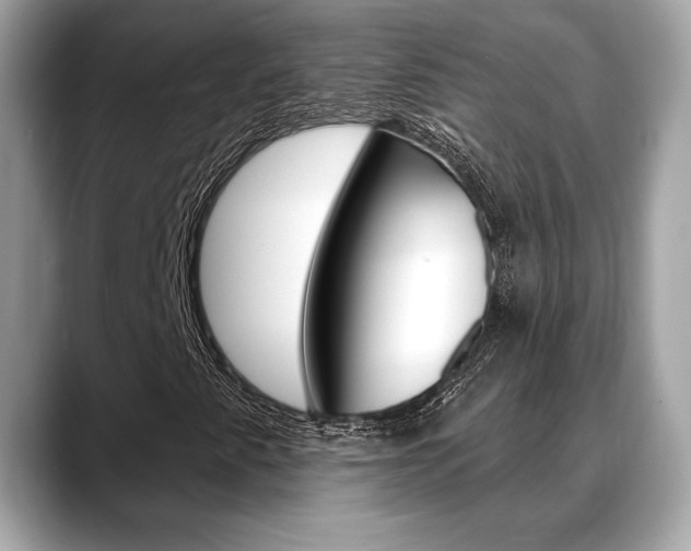 X0000088691345200705310950