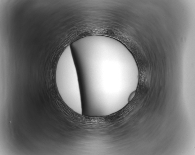 X0000088691346200705310950