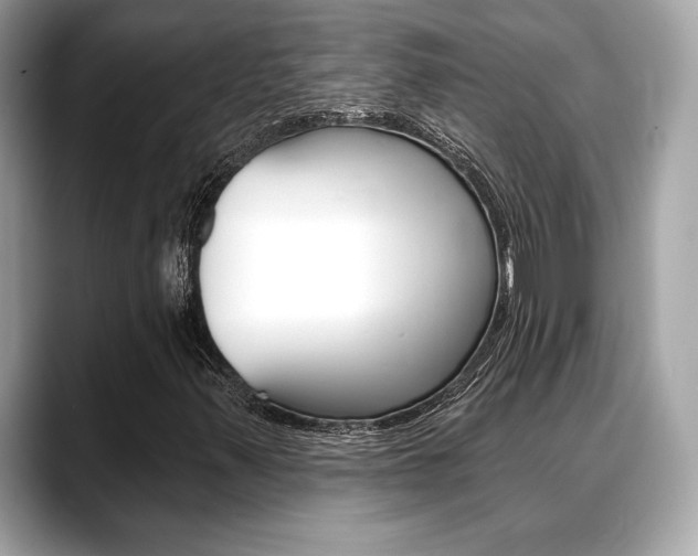 X0000088691347200705310950