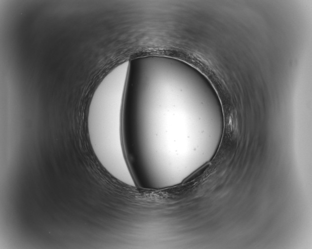 X0000088691348200705310950