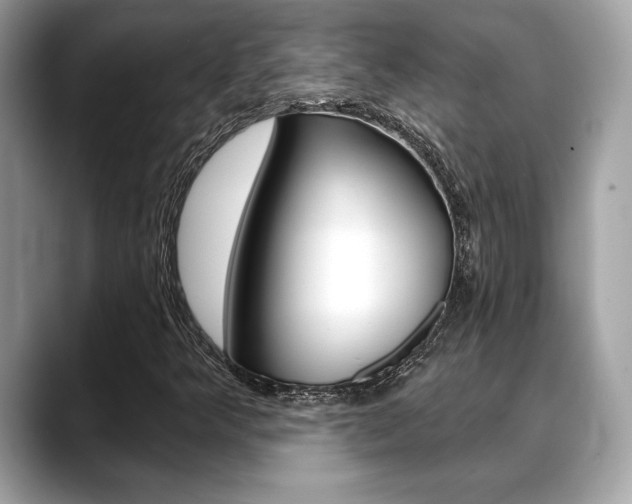 X0000088691349200705310950