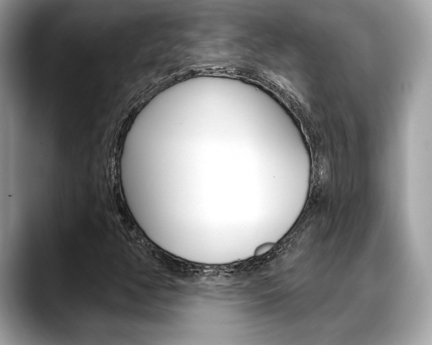 X0000088691350200705310950