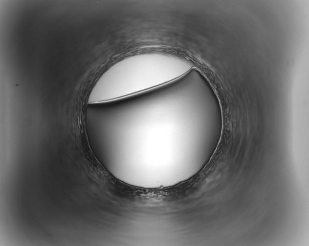 X0000088691351200705310950