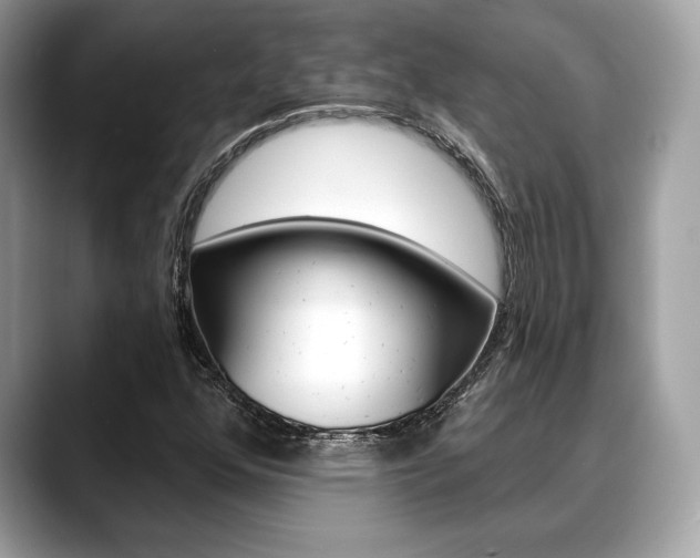 X0000088691352200705310950