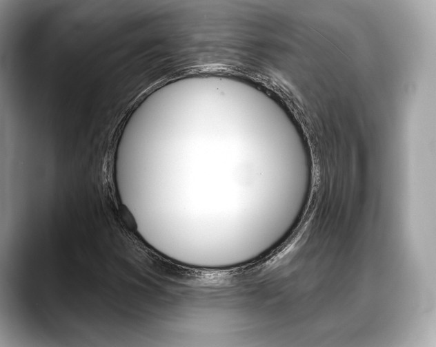 X0000088691353200705310950