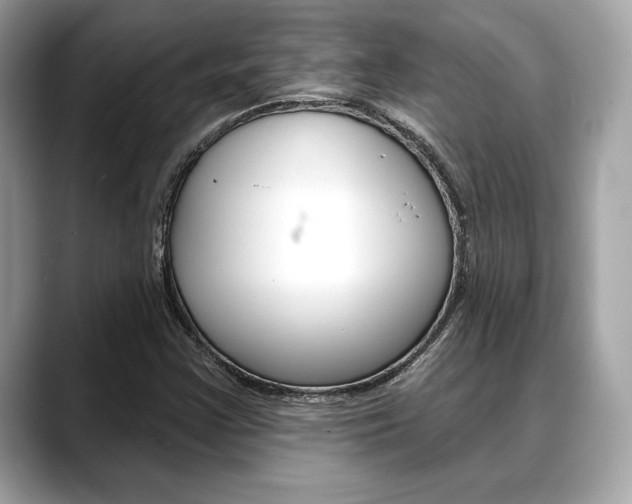 X0000088691355200705310950