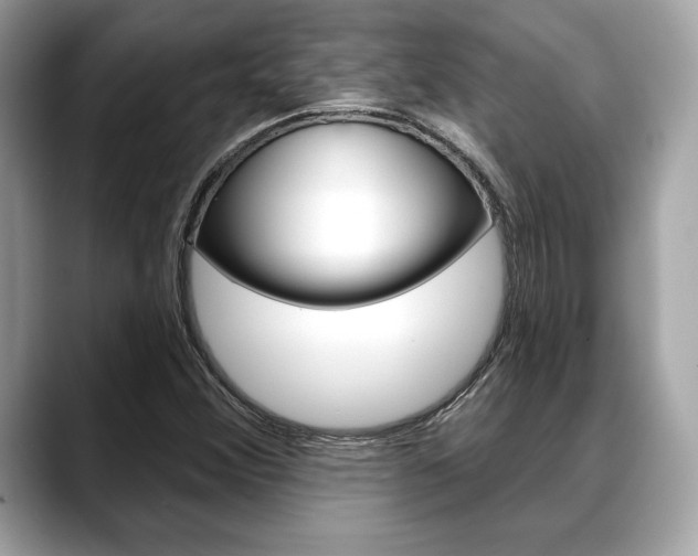 X0000088691356200705310950