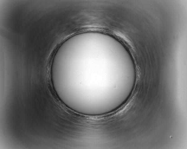 X0000088691357200705310950