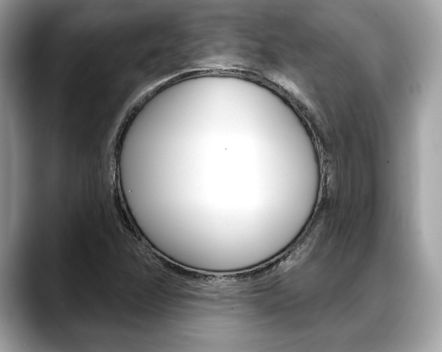 X0000088691358200705310950