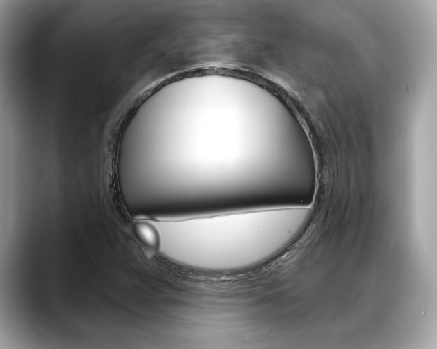 X0000088691359200705310950
