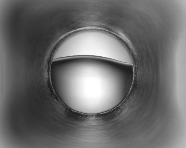 X0000088691360200705310950
