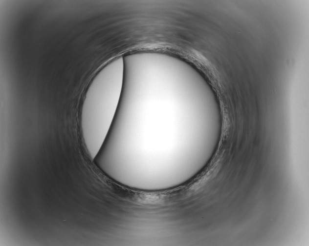 X0000088691361200705310950