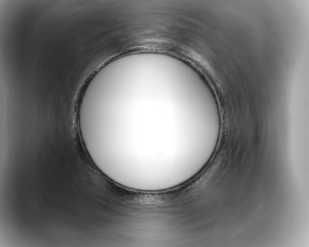 X0000088691362200705310950