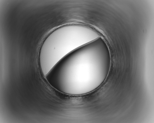 X0000088691363200705310950