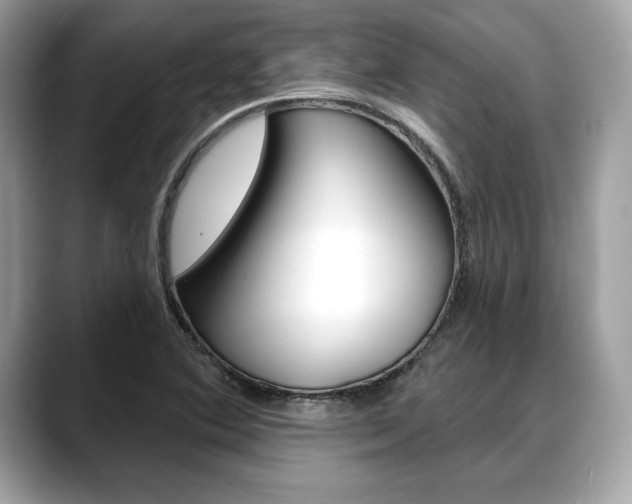 X0000088691364200705310950