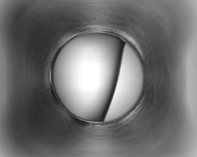 X0000088691365200705310950