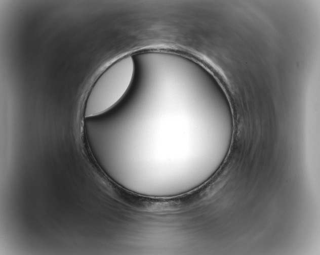 X0000088691367200705310950