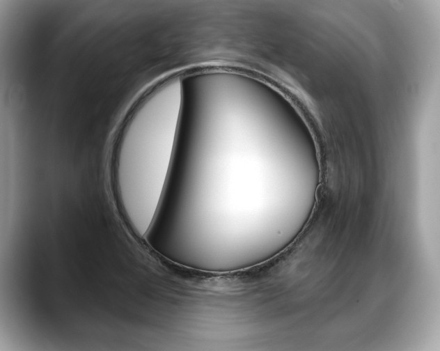 X0000088691368200705310950