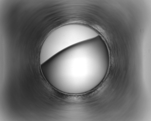 X0000088691369200705310950