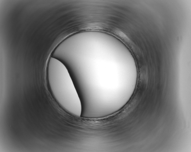 X0000088691370200705310950