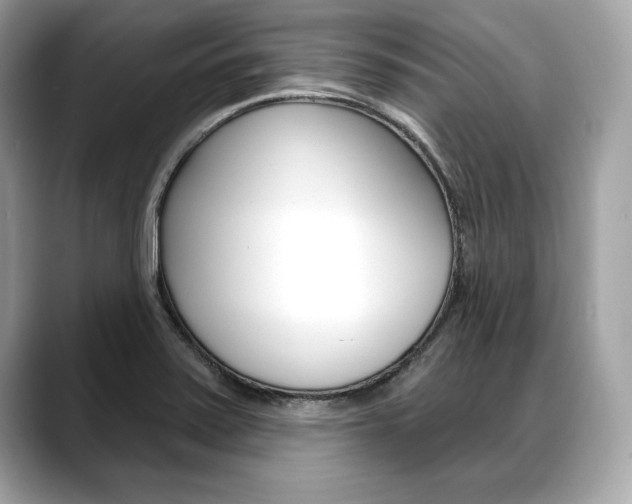 X0000088691371200705310950